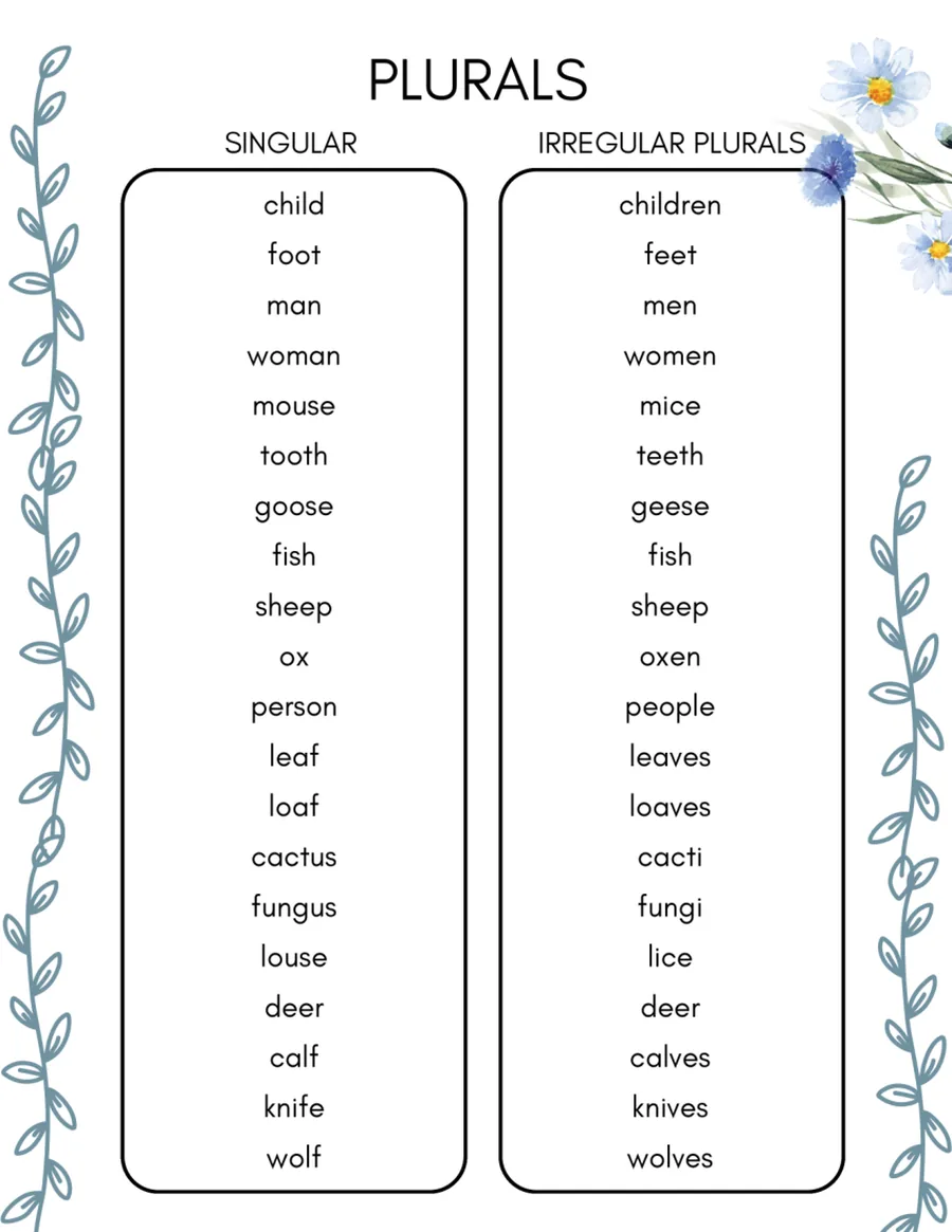 Black-and-white word list pairing singular and irregular plural forms.