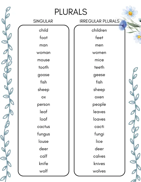 Black-and-white word list pairing singular and irregular plural forms.